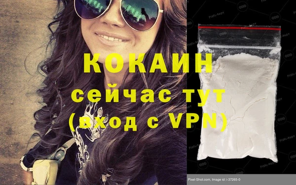 индика Армянск