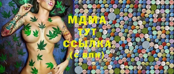 индика Армянск