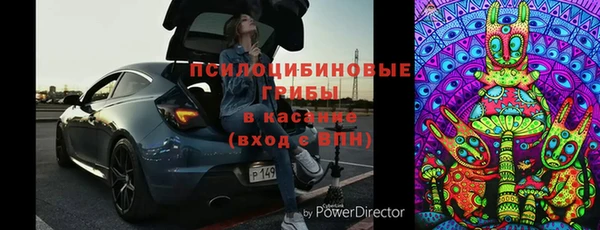 экстази Арсеньев