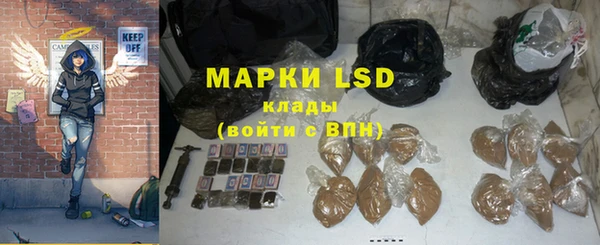 индика Армянск