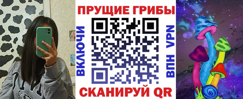 Псилоцибиновые грибы MAGIC MUSHROOMS  магазин продажи наркотиков  Майский 